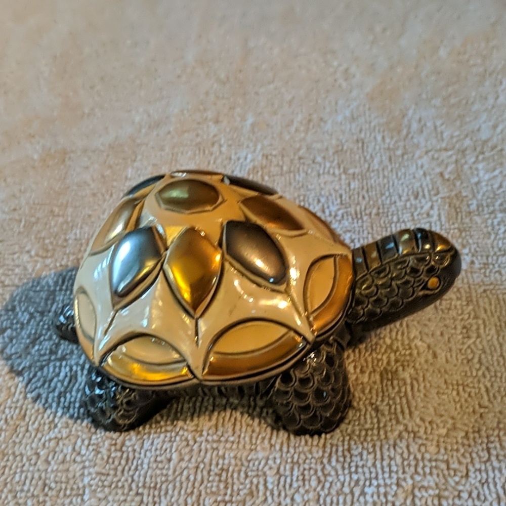 Big turtle